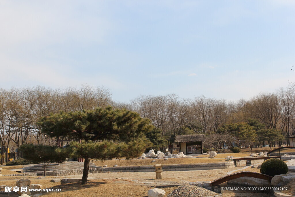 冬日公园静谧景致