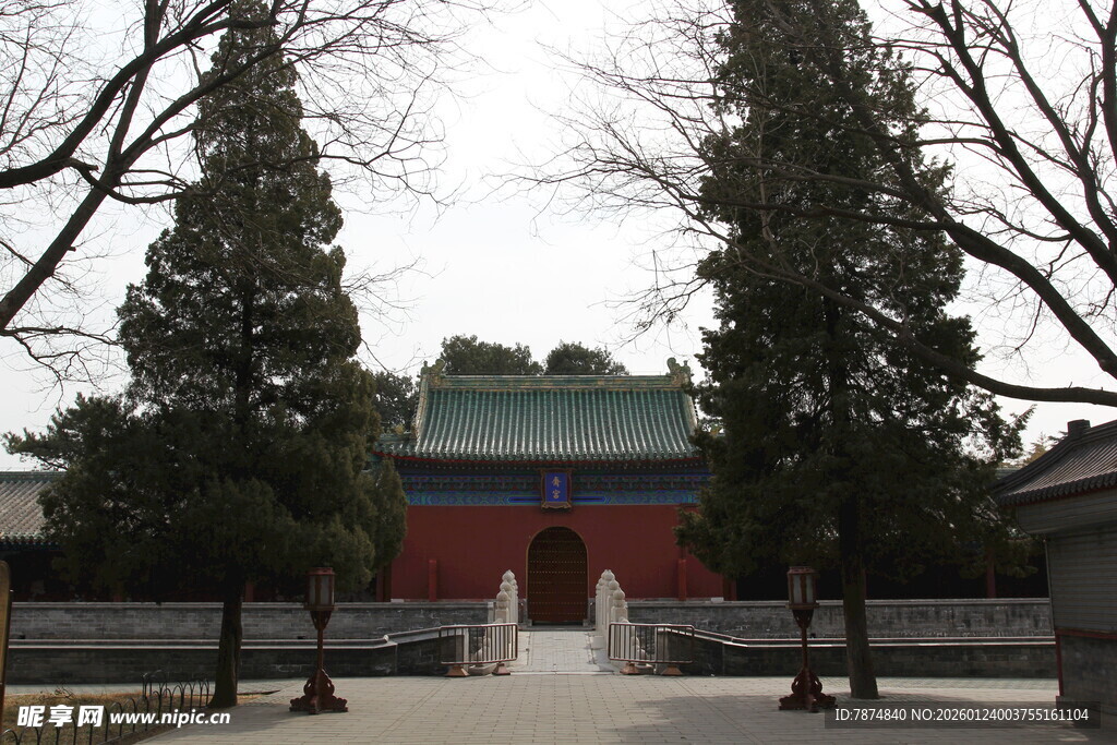 中式古建筑前的树木景观