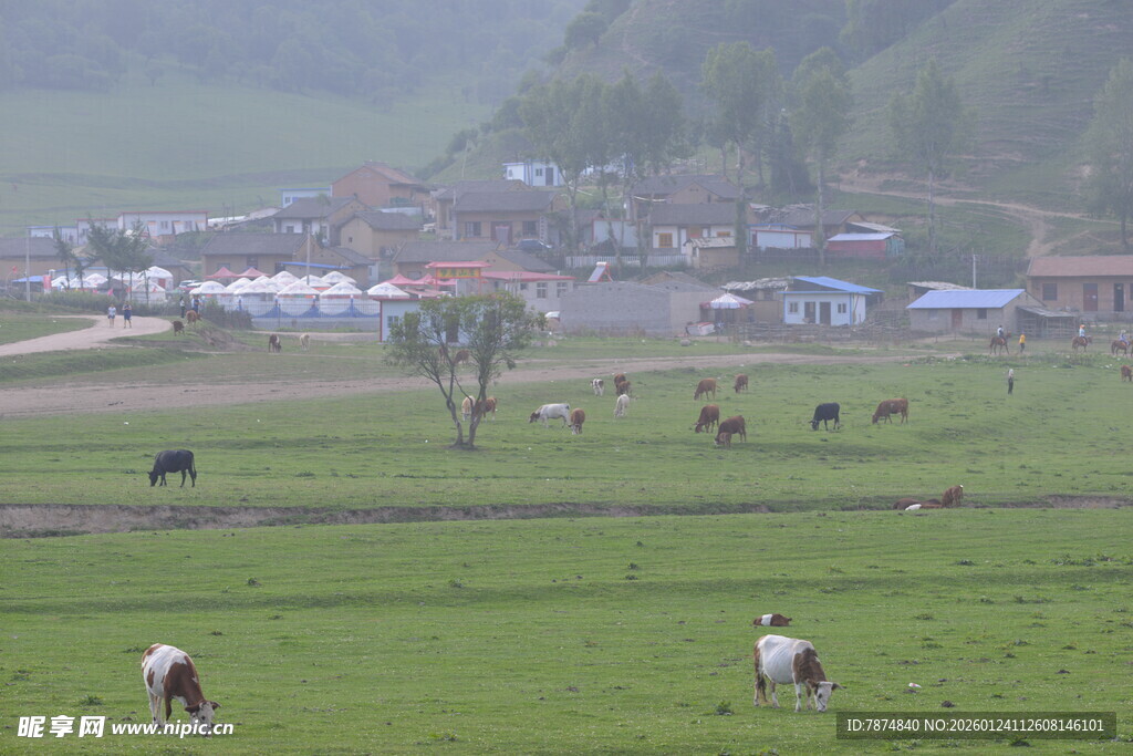 乡村牧场田园风光美景