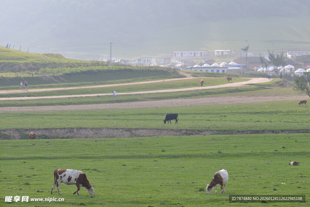 草原牧场景色