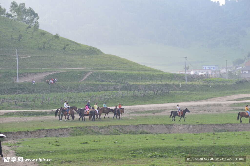 草原上的马队骑行场景