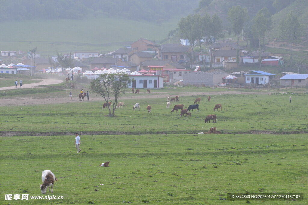 草原上的牧场景象