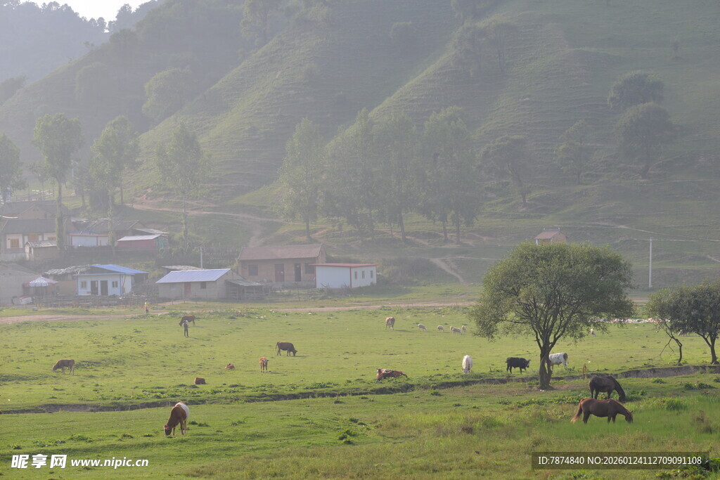 乡村田野间的悠闲牧场景象