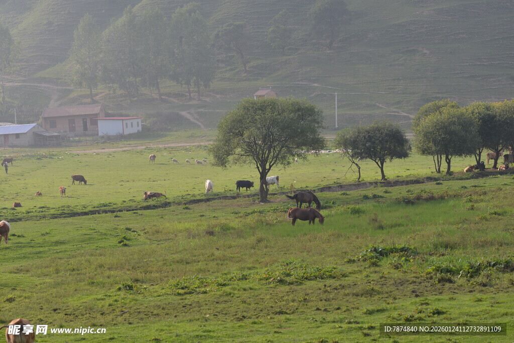 乡村草原牧场景色