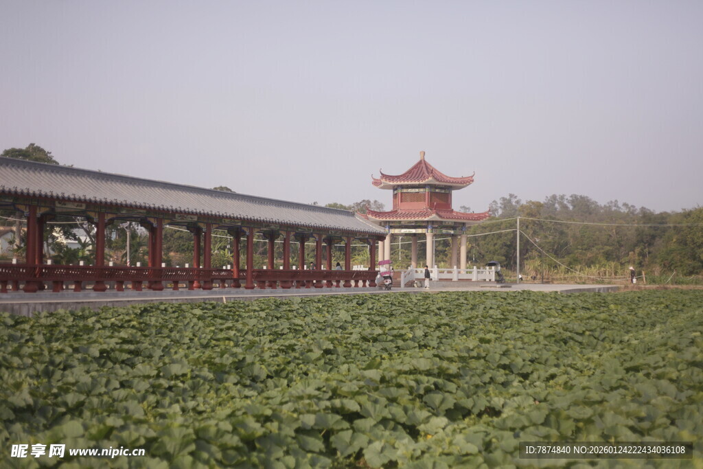 中式长廊旁的繁茂绿植