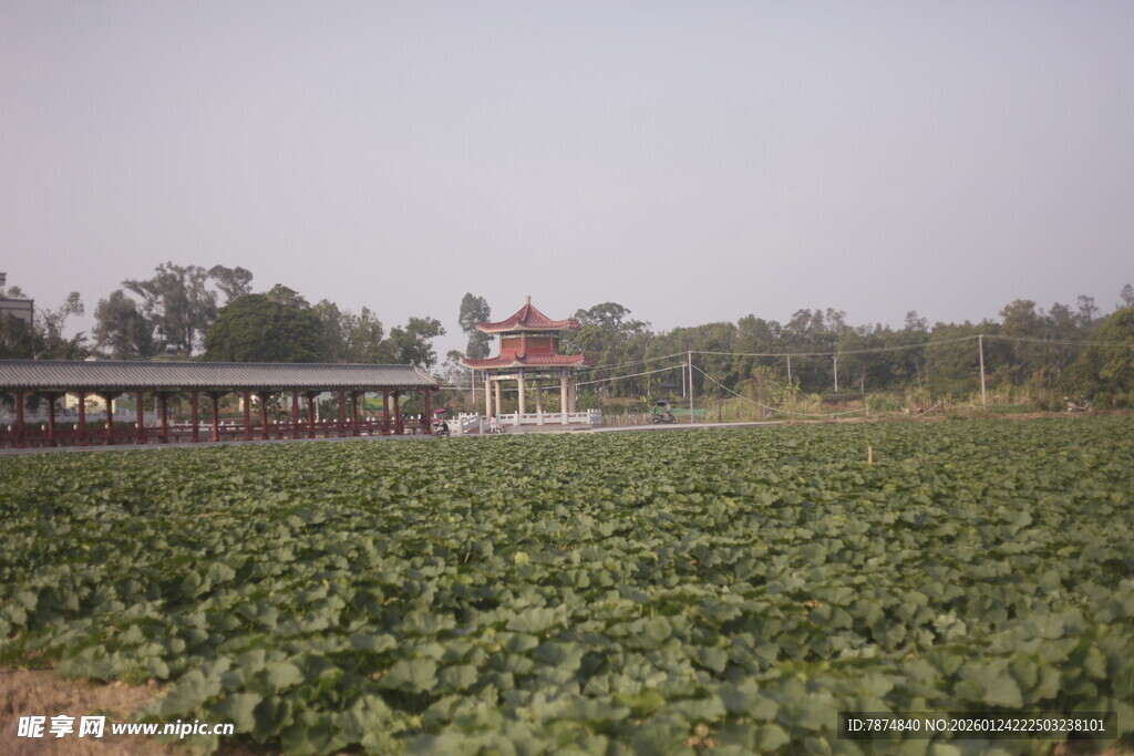 田野风光中的红顶建筑