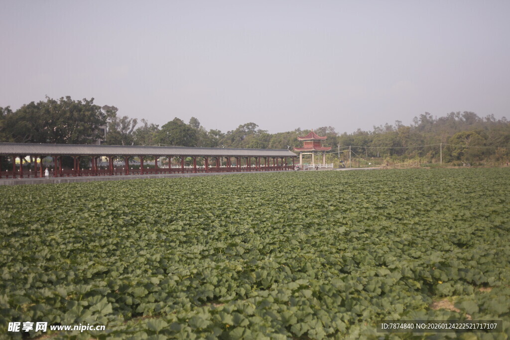田野中的建筑景观