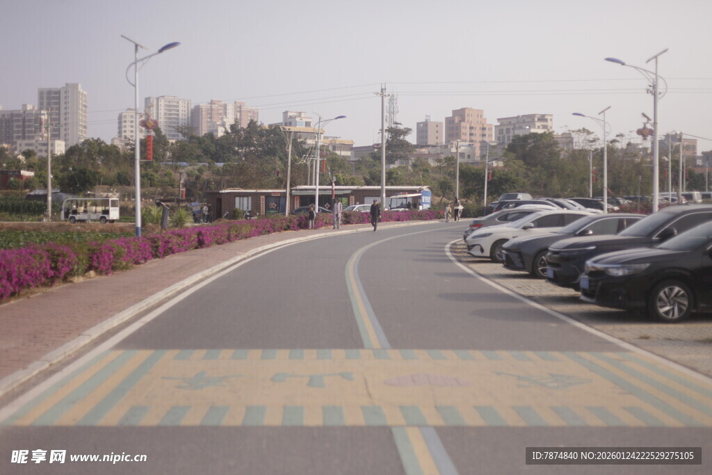 城市路边整齐停放的车辆