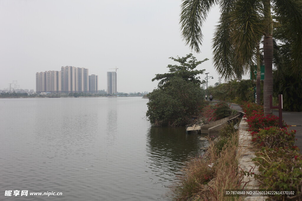 湖畔风光 城市与自然交融