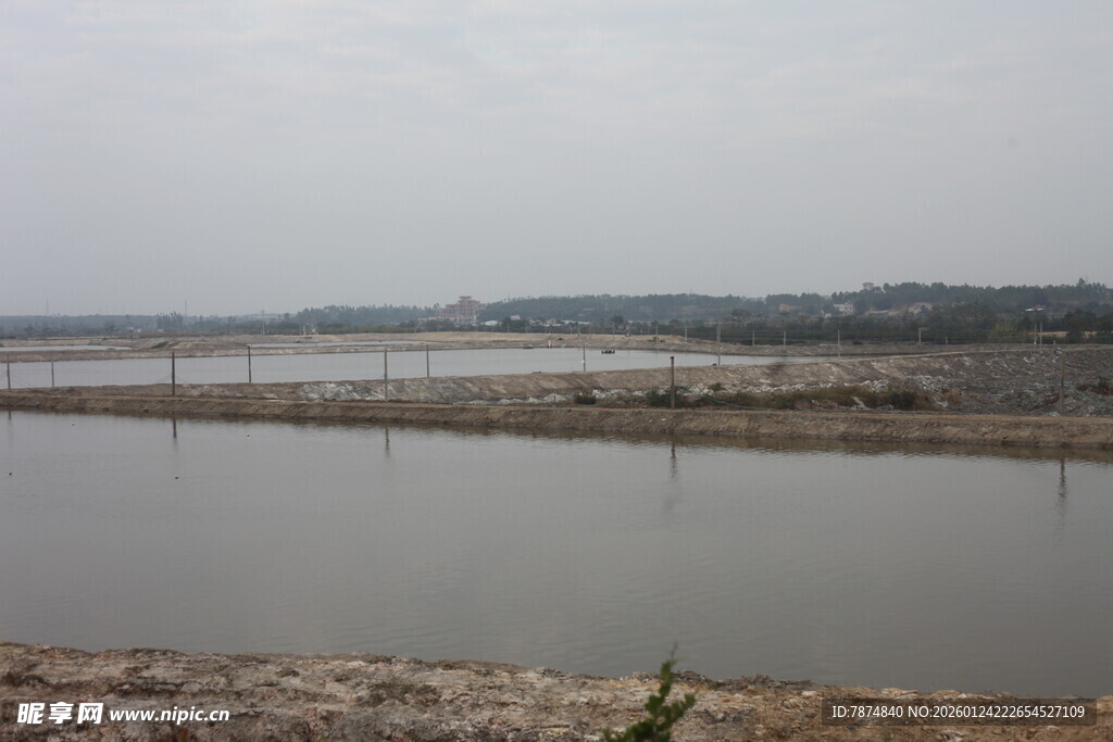 宁静宽阔的河岸风光