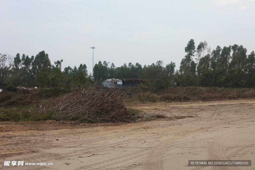 空旷土路旁的茂密树林