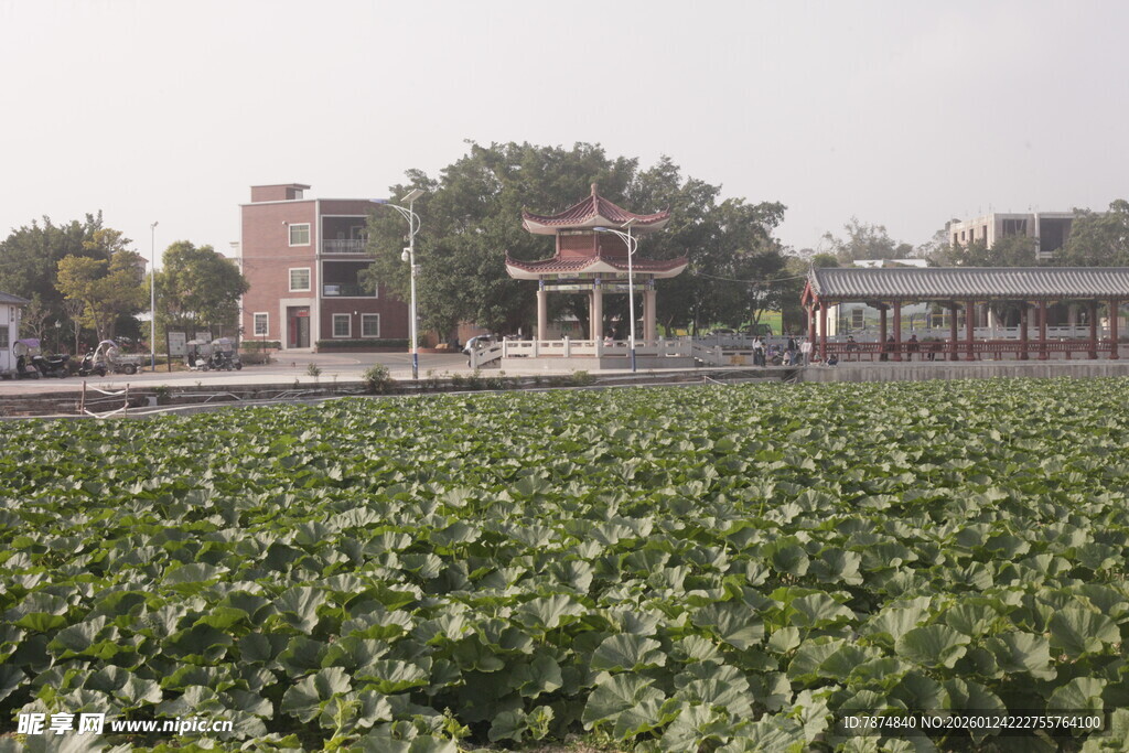 田园风光中的古朴建筑群