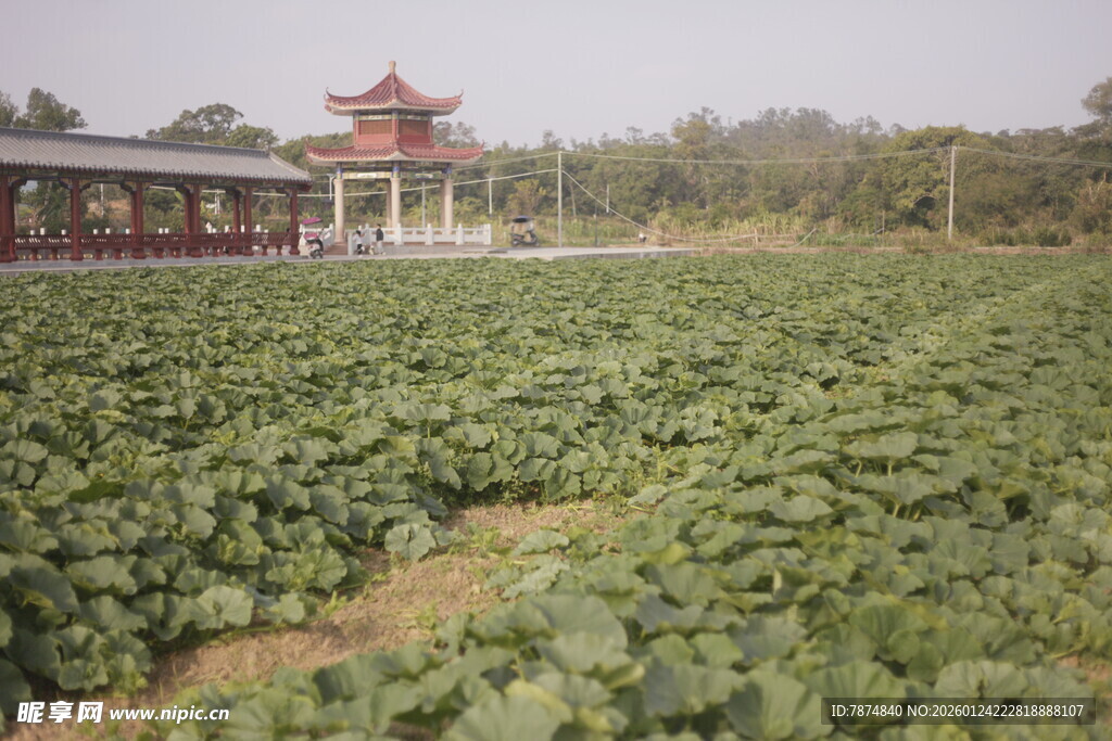 田园风光中的中式建筑