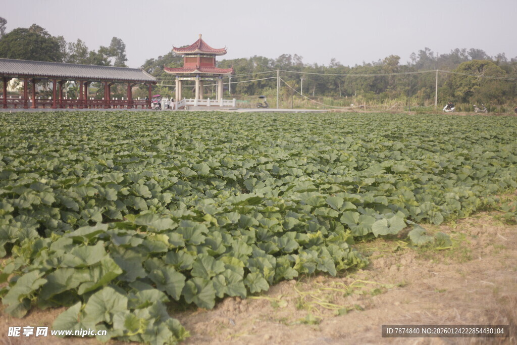 田园风光中的中式建筑