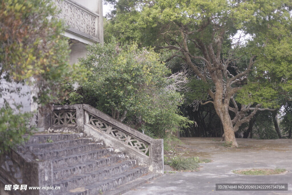 庭院绿植环绕的石阶景致