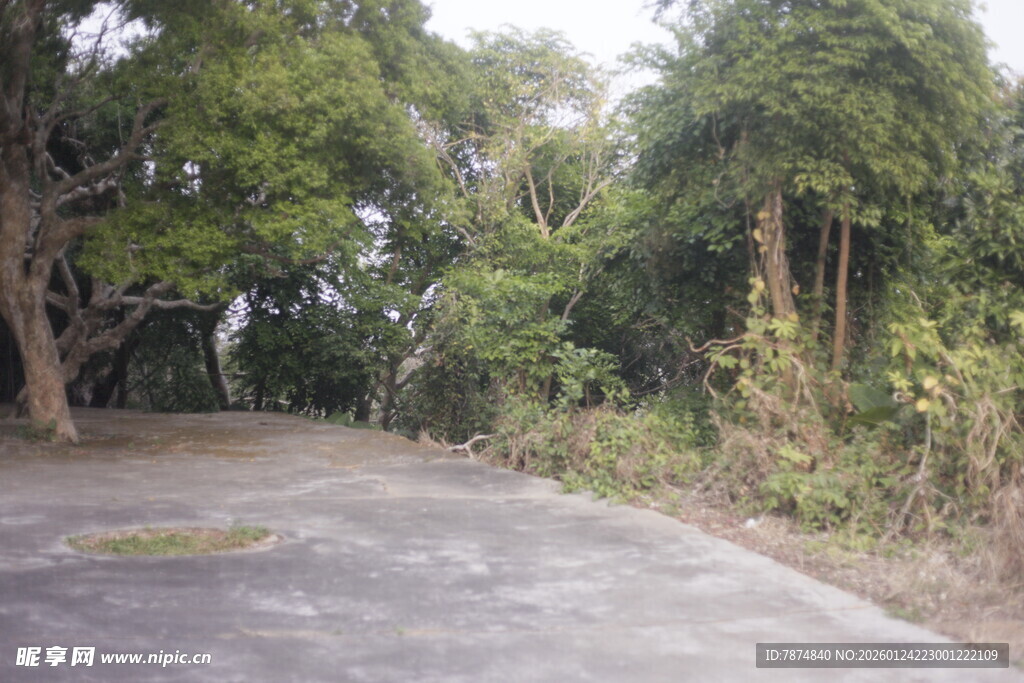 林间空旷水泥场地