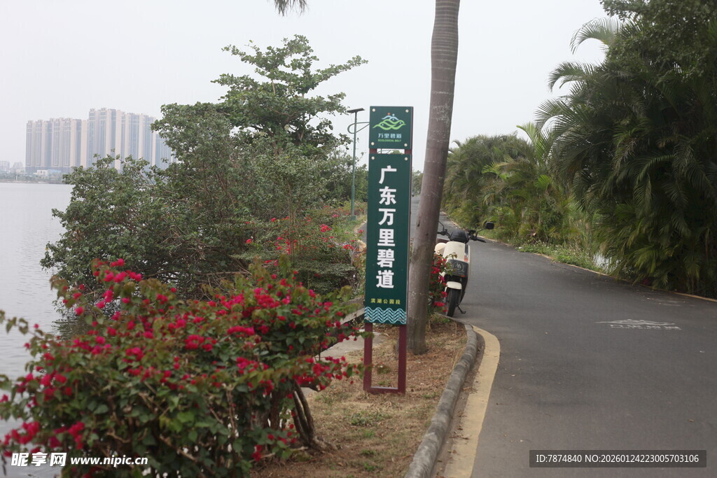 路边绿植与花卉指示牌景观