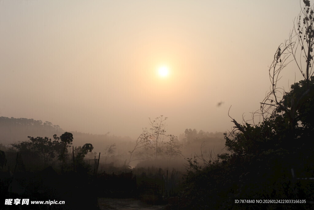 晨雾中的日出美景