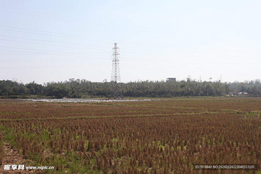 秋日广袤农田景象
