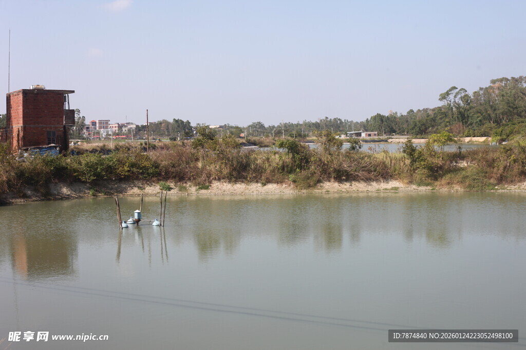乡村池塘边的静谧景致
