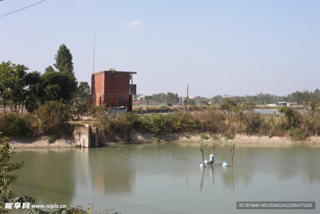 湖畔红建筑与白鹭景致