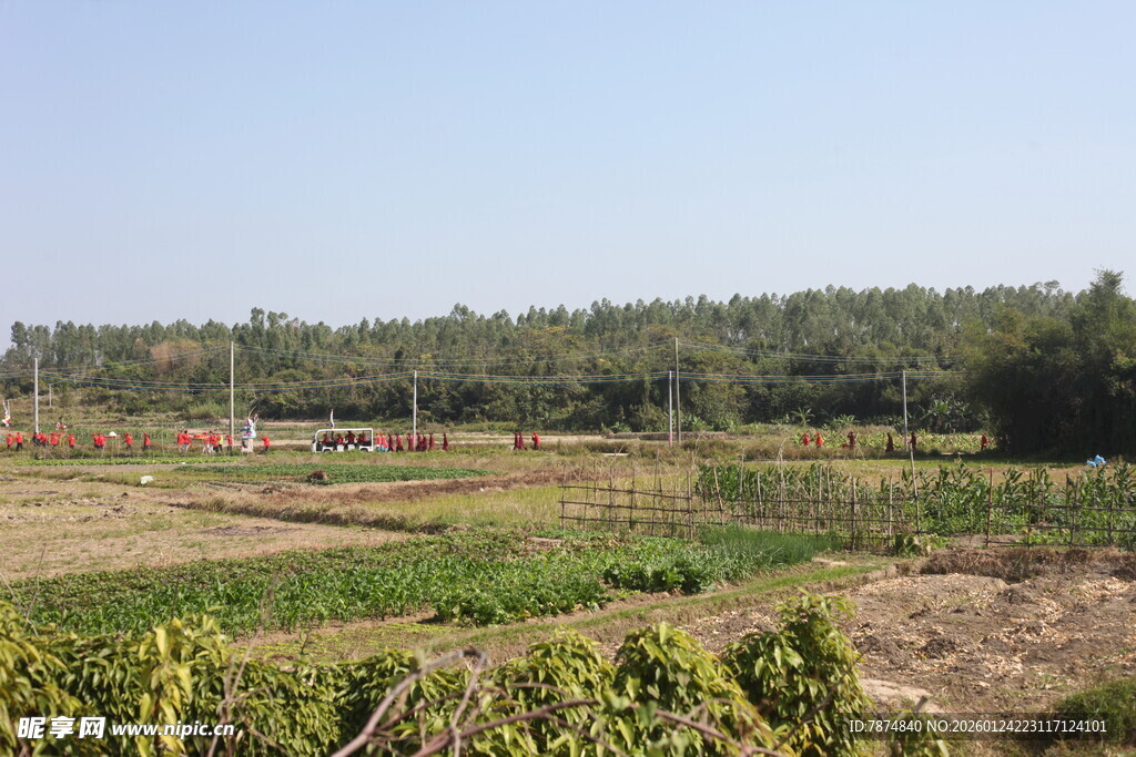 田园风光 绿意盎然的田野