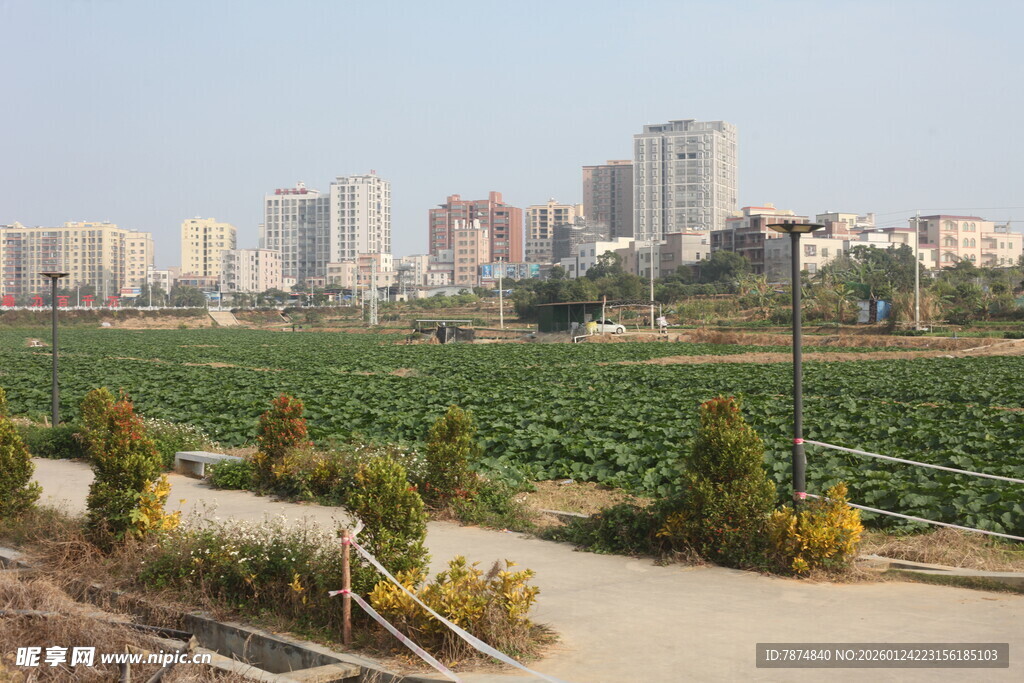 城郊田园与城市建筑景观
