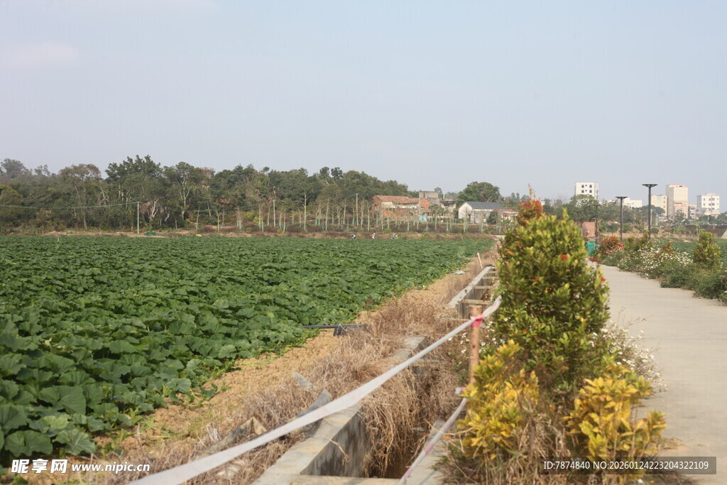 田园乡间小路景观