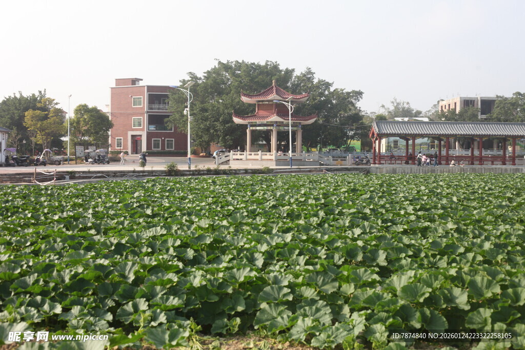 田园风光中的中式建筑