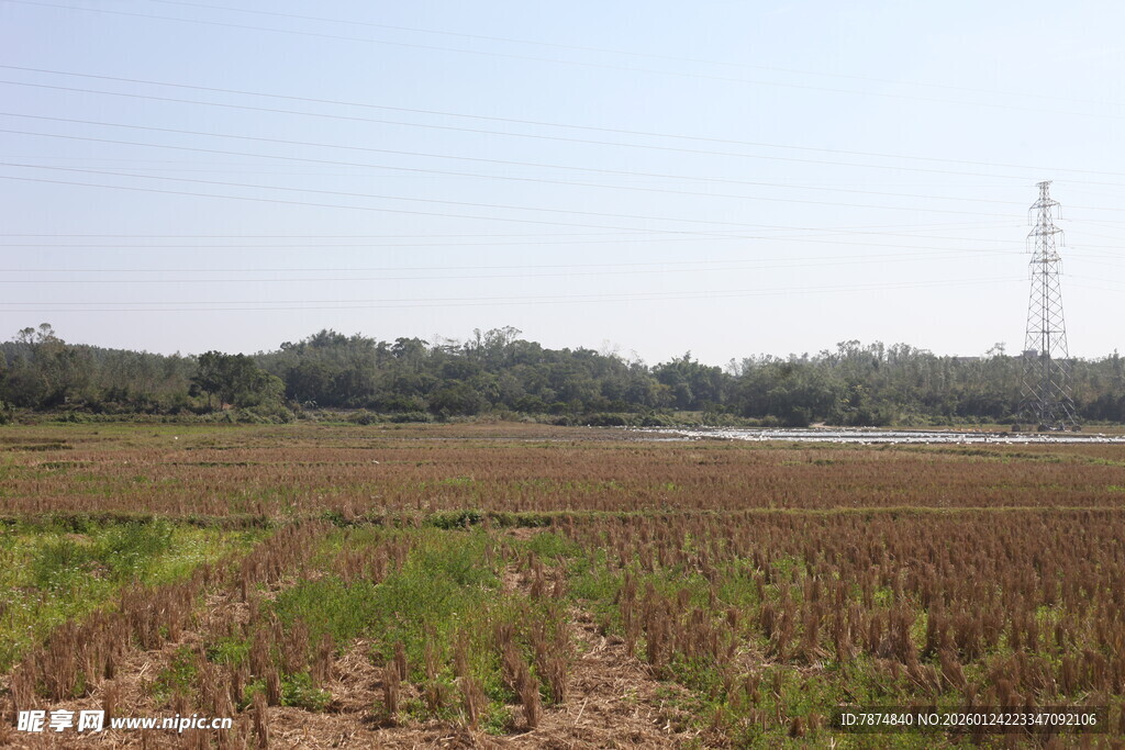 田野风光 远处有输电塔