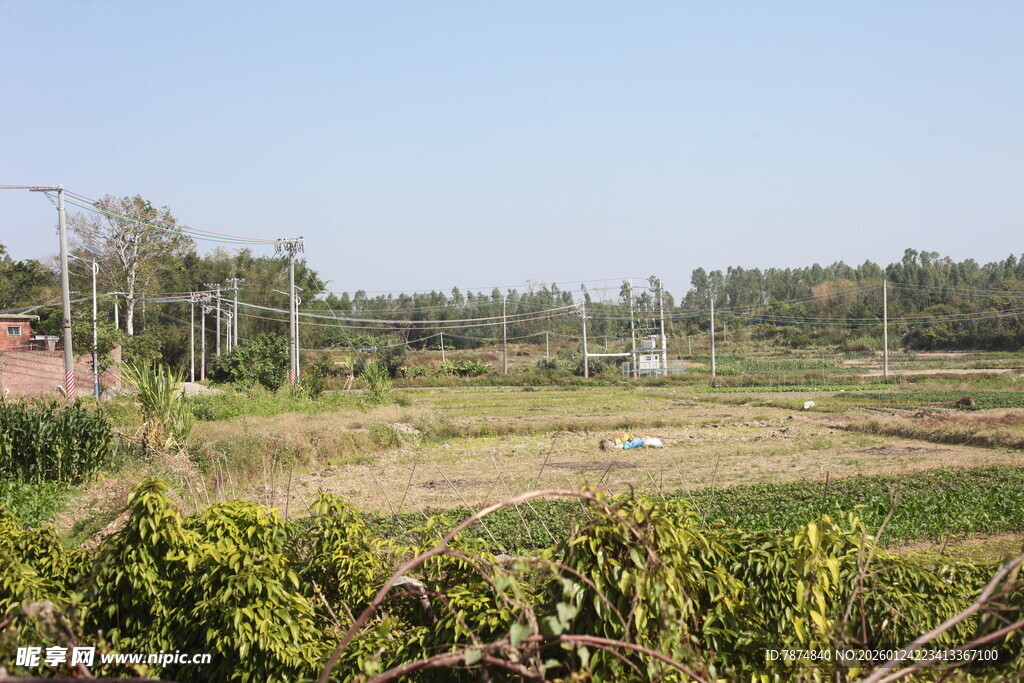 田园风光田野景色