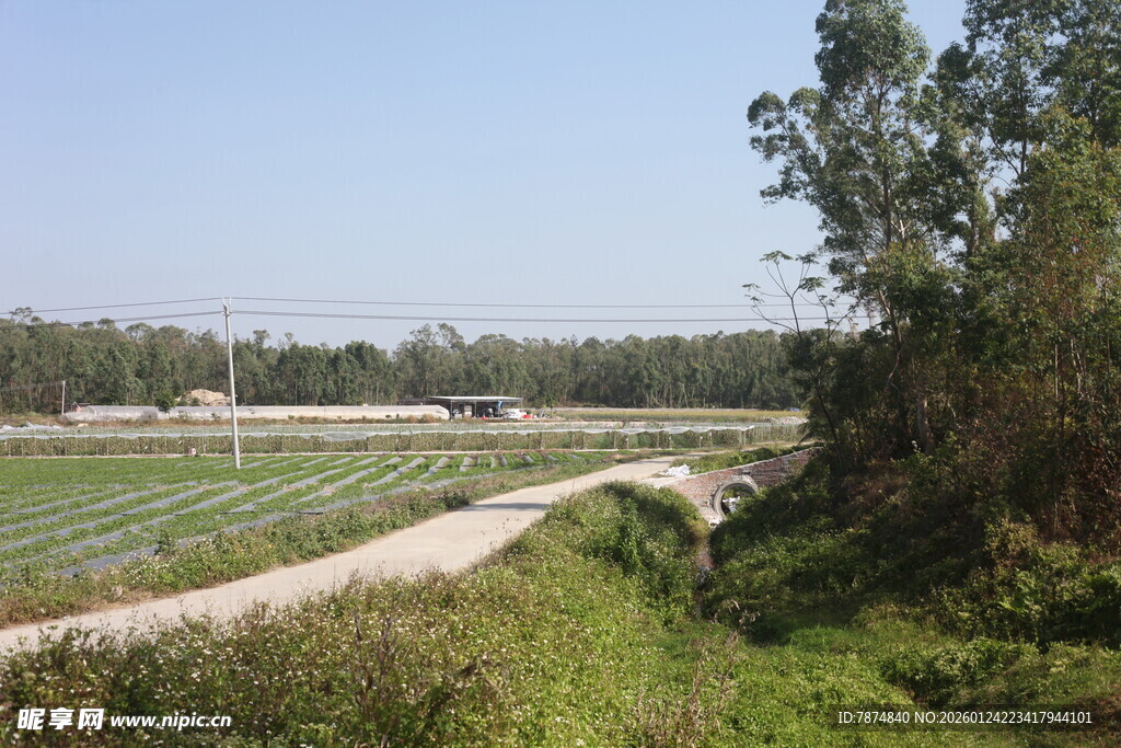 乡村田野间的蜿蜒小路