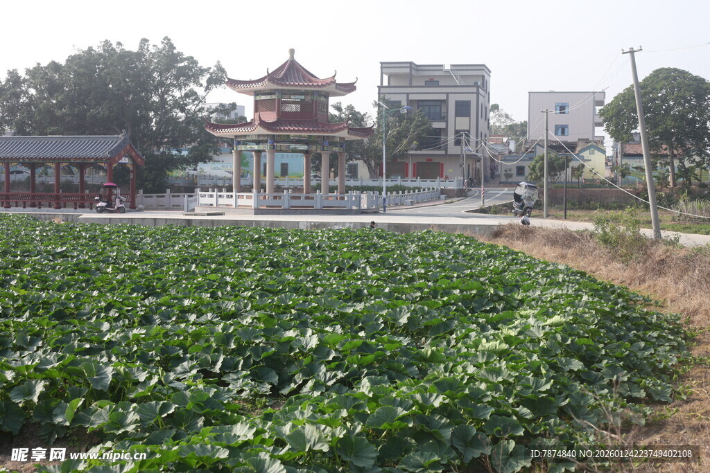 田园旁的中式建筑景观