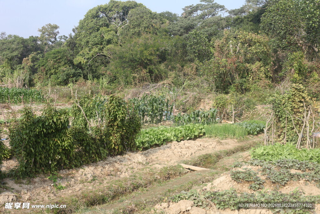 乡村田野风光景色