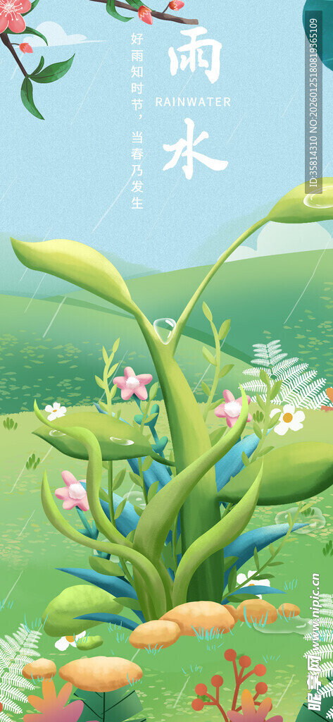 雨水时节田园花草美景