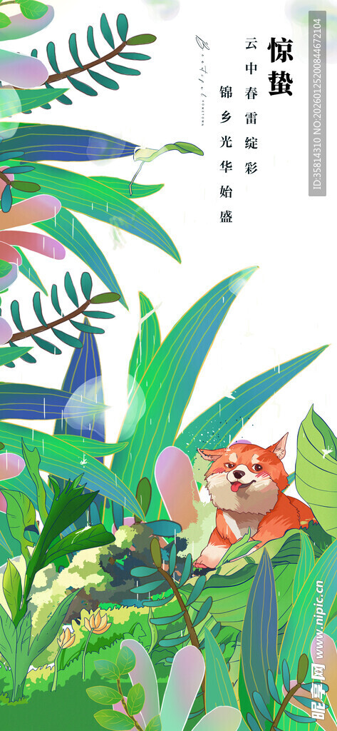 丛林中的多彩花卉景观