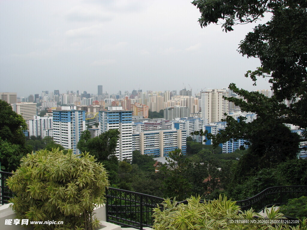 城市远景与绿植景观