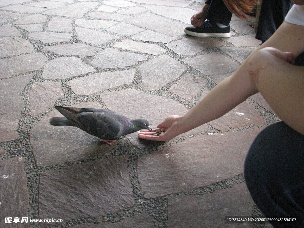 人与小猫互动瞬间