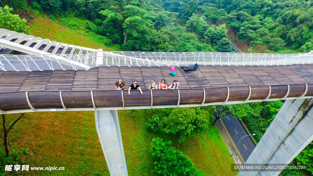 高架桥上行驶的多彩车辆