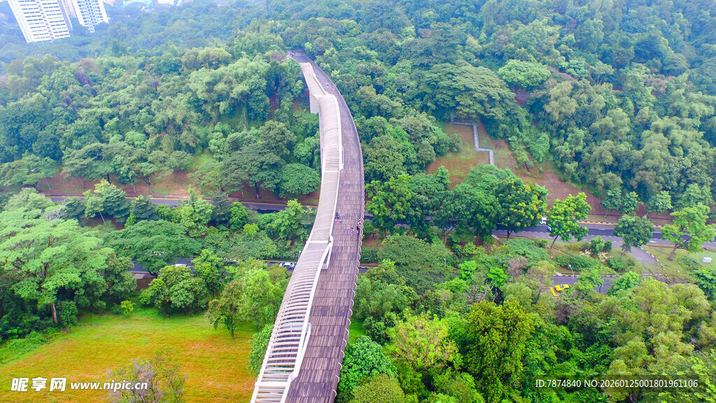 山间悬索桥横跨翠绿山林