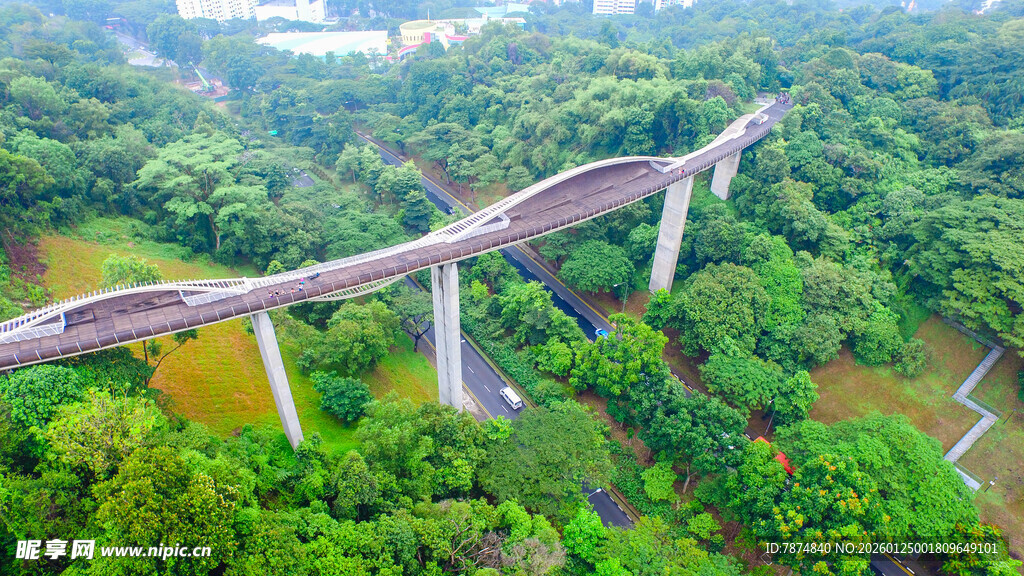森林中的高架木质栈道