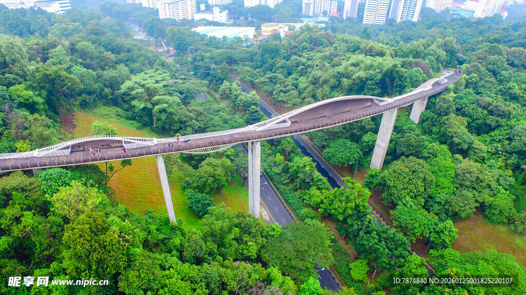 高架穿行绿意间