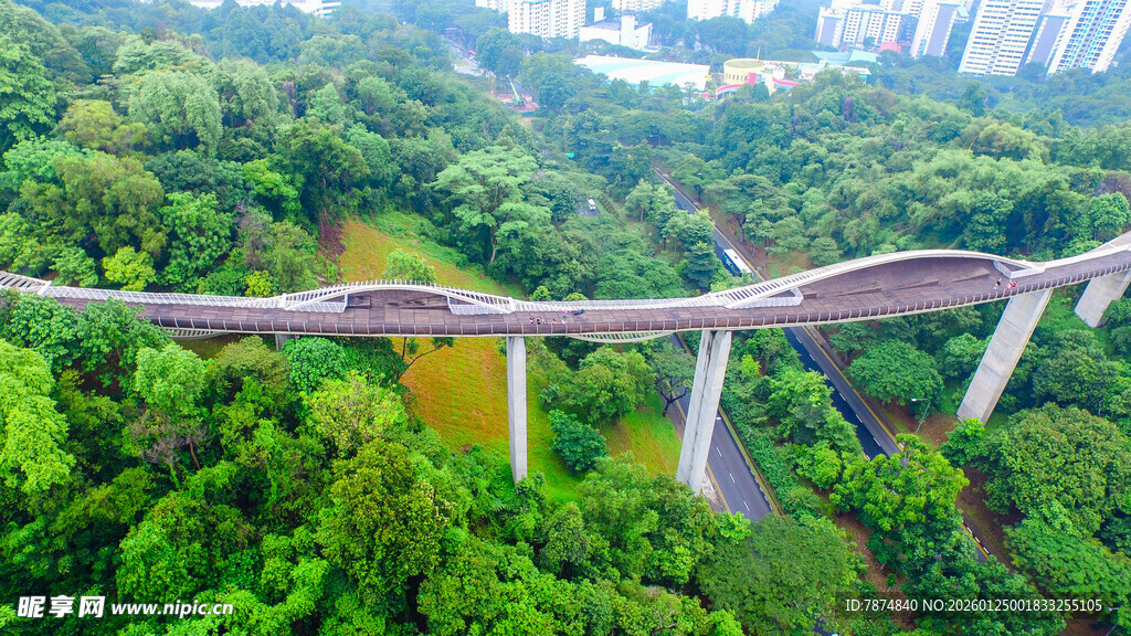 空中栈道穿梭于翠绿山林