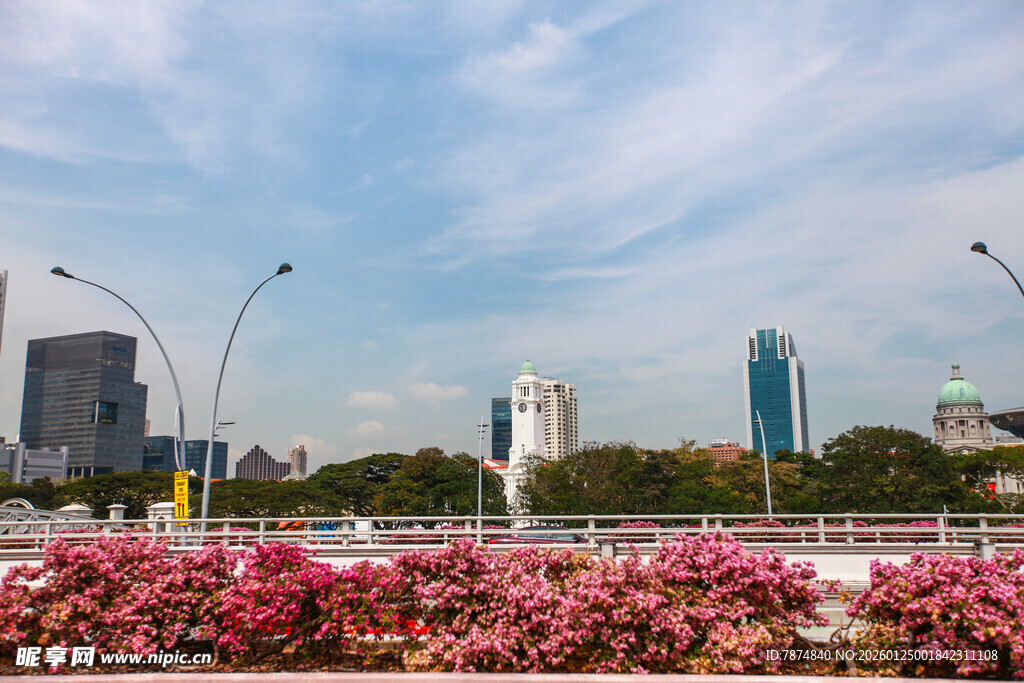 城市繁花景 高楼伴蓝天