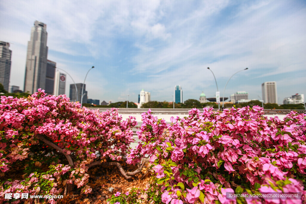 城市繁花景