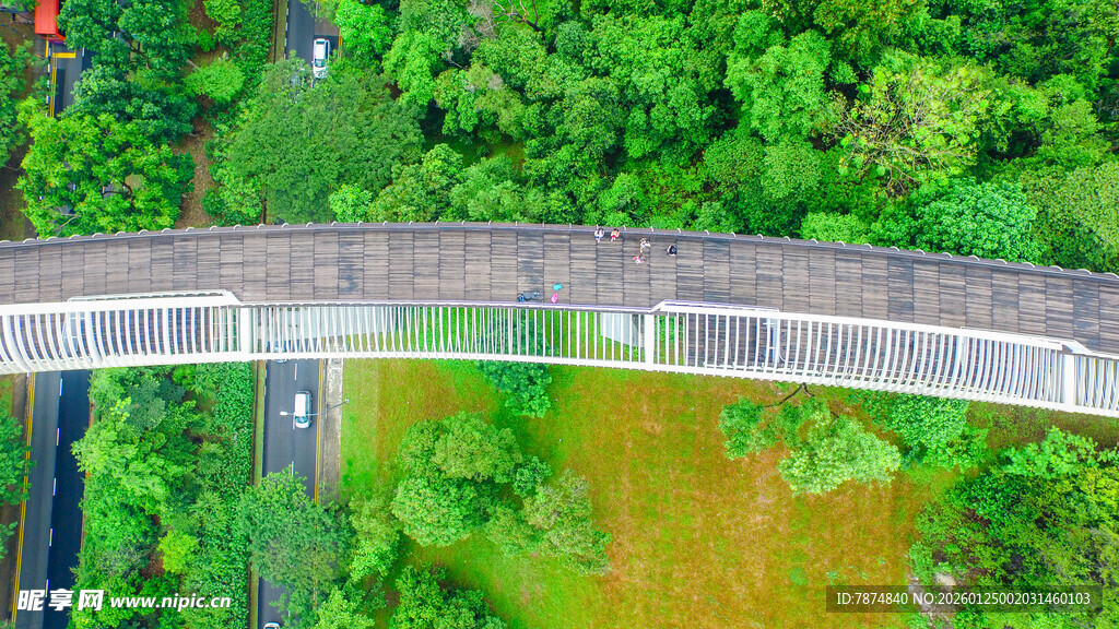 空中步道穿梭于葱郁山林