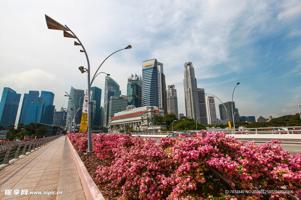 新加坡城市道路花卉景观