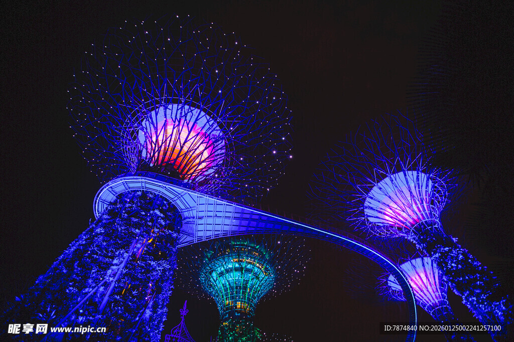 梦幻水母灯光秀