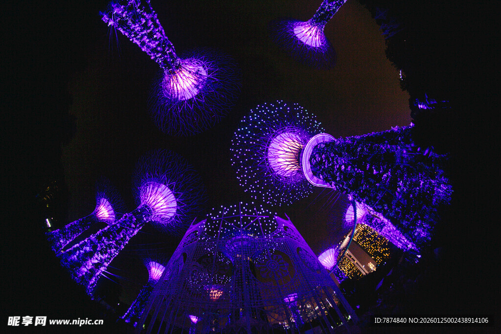 梦幻紫色灯光艺术装置