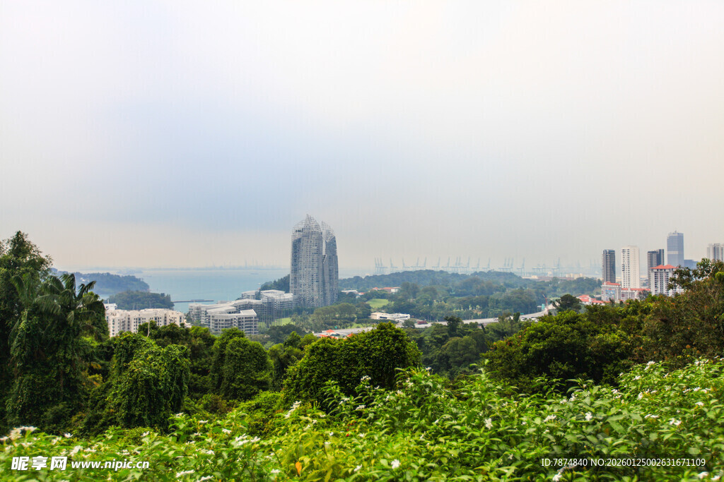 城市远景与绿意景观